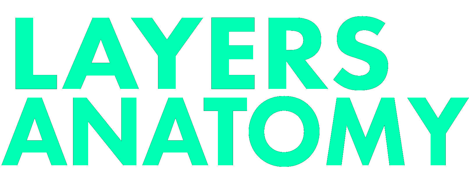 LAYERS ANATOMY